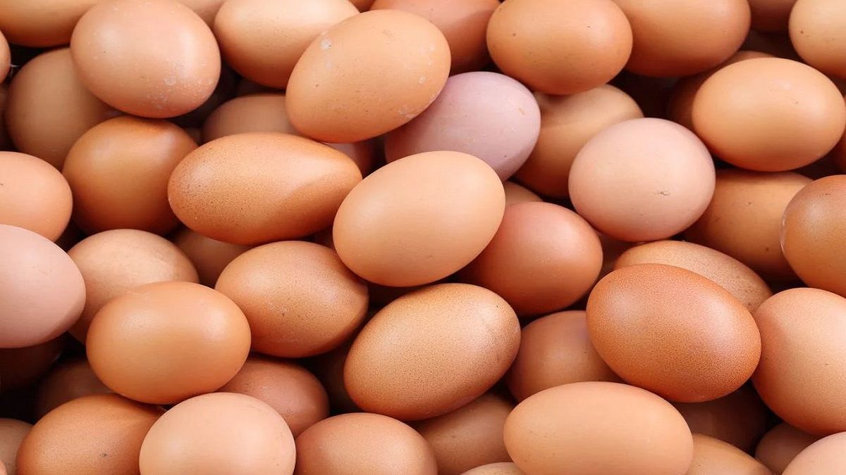 الامارات | عملية سرقة غريبة والشرطة في حيرة.. من هم لصوص الـ100 ألف بيضة؟