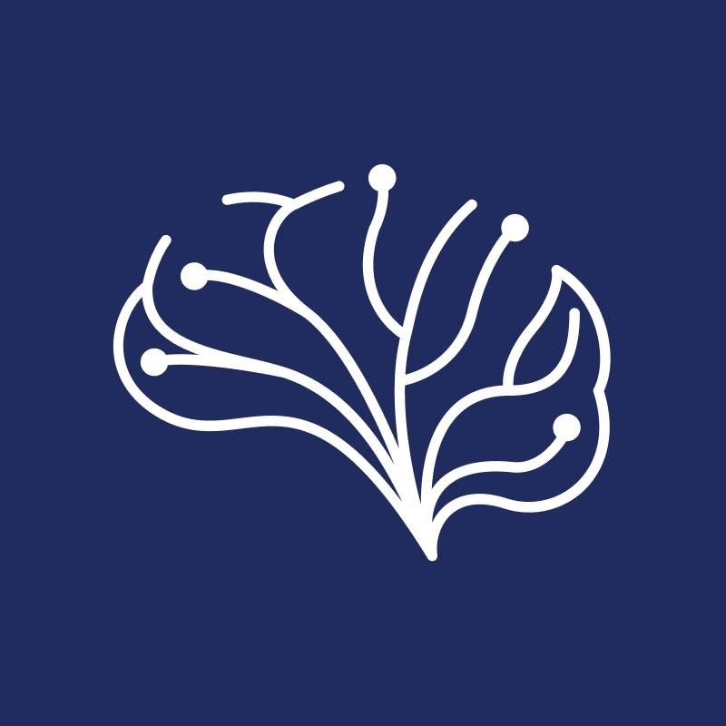 الامارات | قصص ملهمة من مركز التميّز الذهني والبدني