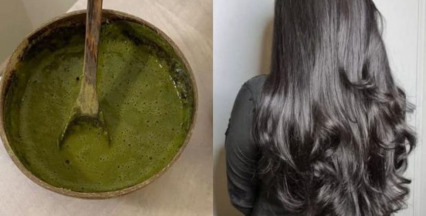 تأثير وضع السدر على الشعر.. اعرفي الحقيقة الكاملة