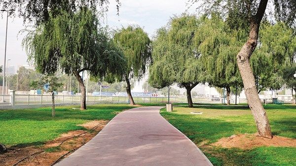 حديقة المطار.. تحفة خضراء
