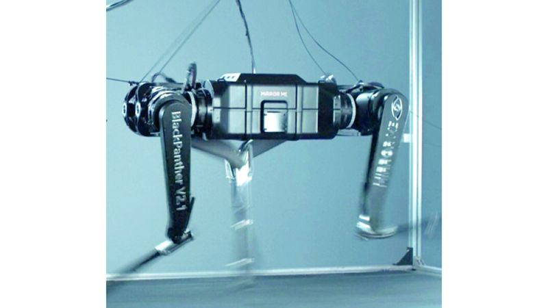 الامارات | «النمر الأسود».. أسرع روبوت رباعي الأرجل في العالم