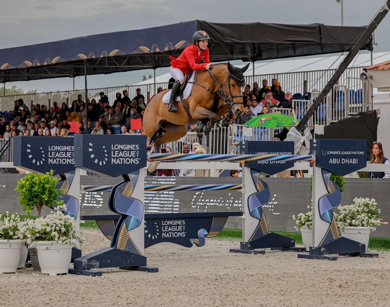 الامارات | كأس الإمارات لقفز الحواجز تنطلق في أبوظبي غداً