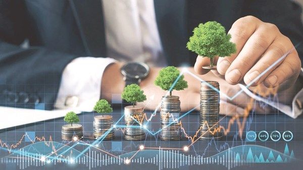 781 ألف وظيفة خضراء في 5 مجالات وأنشطة اقتصادية