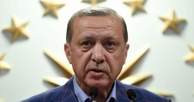 رئيسا تركيا وإندونيسيا يؤكدان استمرار دعمهما للقضية الفلسطينية