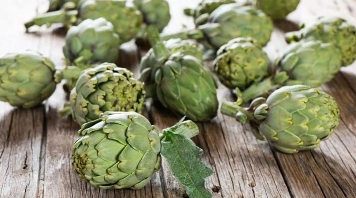 الامارات | الأرضي شوكي.. كنز من الألياف وفوائد لا تحصى