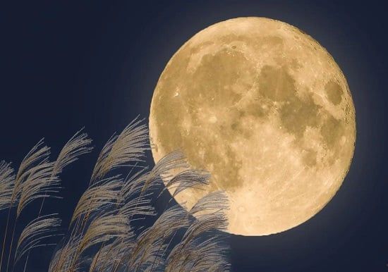 طالع الأبراج: كيف تؤثر الظواهر الفلكية النادرة على مواليد الأبراج؟ 3 أحداث مرتقبة فى 2025