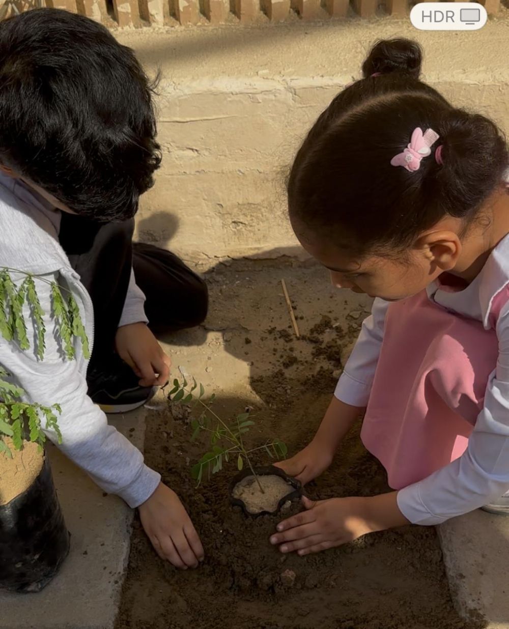 زراعة 100 شتلة من أنواع نباتية مختلفة لتشجير إحدى مدارس الليث