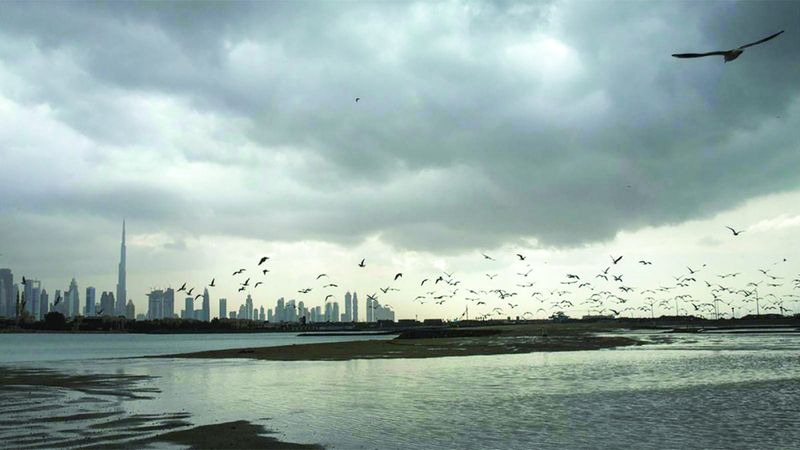 الامارات | «الوطني للأرصاد»: أمطار متوقعة.. وطقس غائم أحياناً