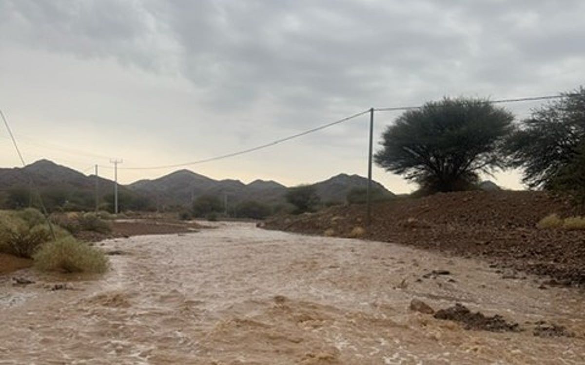 أمطار وسيول على محافظة القويعية وقراها