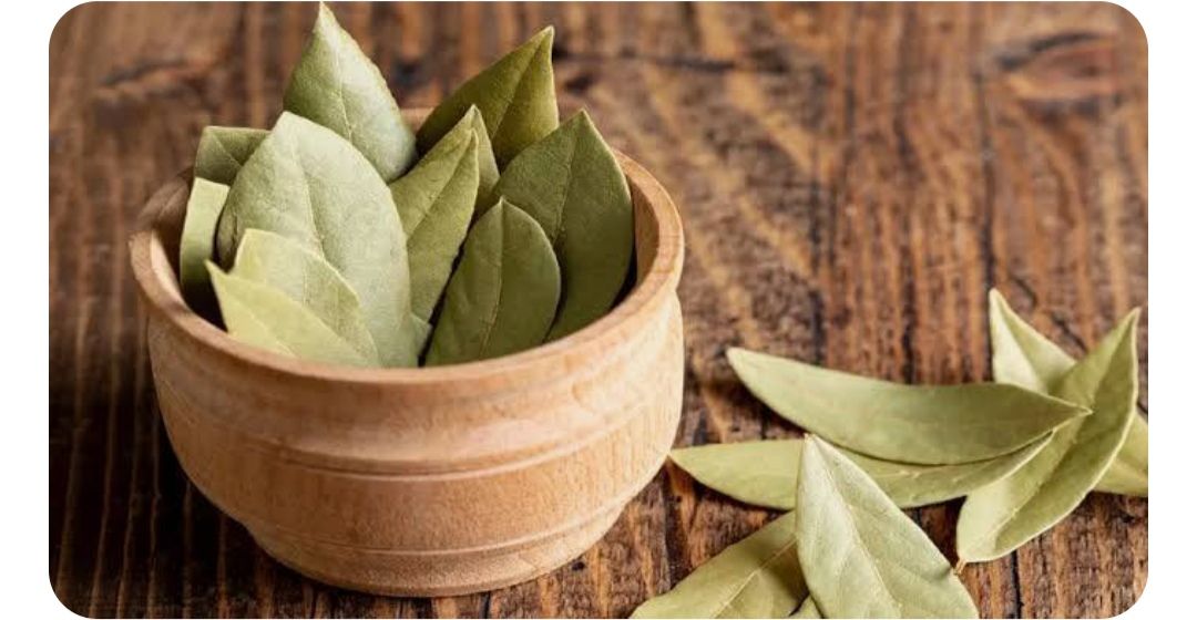 اسهل طريقة لخفض الوزن بإستخدام ورق الغار "نتيجته بتظهر في اول اسبوع