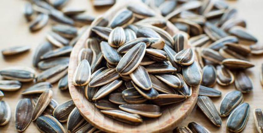 ماذا يحدث لجسمك عند الإفراط من تناول اللب السوري؟