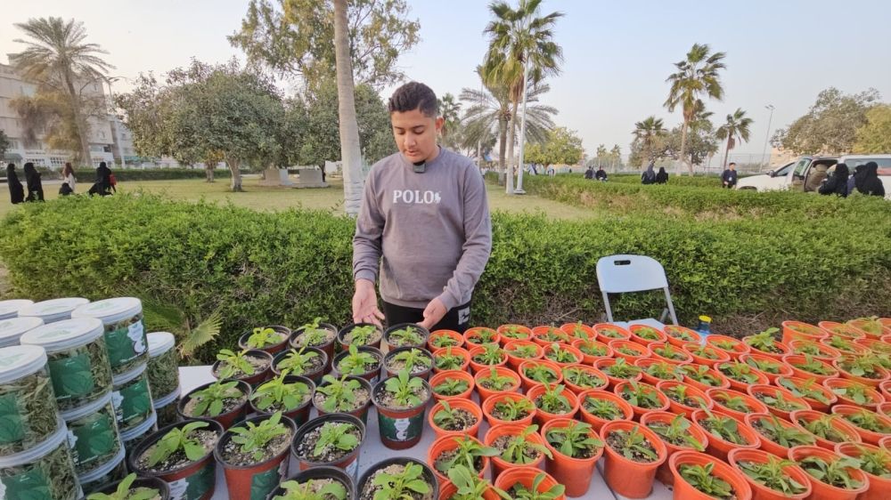 خالية من السعرات الحرارية.. إنتاج 35 ألف شتلة "ستيفيا" في مزرعة بالأوجام