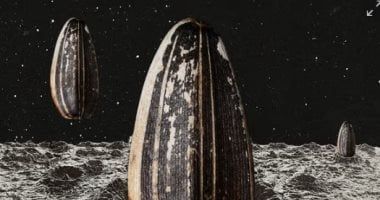 تكنولوجيا: ناسا تطلق مهمة PRIME-1 لدراسة الجليد القمرى لتعزيز استكشاف القمر