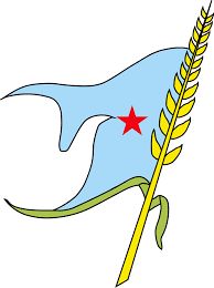 ناشطون يوجهون دعوة للحزب الاشتراكي بتعز