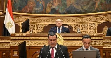 النائب علاء مصطفى يطالب باستراتيجية واضحة لتحسين نفاذ الشركات الناشئة للأسواق الخارجية