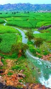 مقتل شاب وإصابة آخر بسبب خلاف على أرض بالمحويت