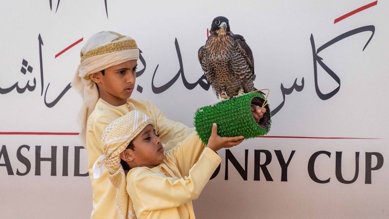 الامارات | «الصيد بالصقور».. رياضة تراثية ترسّخ مكانة الإمارات عالمياً