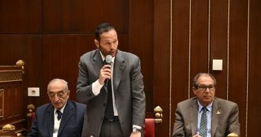 رئيس لجنة الصناعة بالشيوخ يقترح تشكيل لجنة لحل مشكلة المصانع المتعثرة