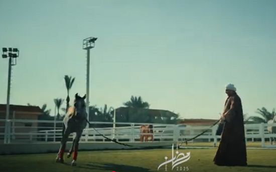 طالع الأبراج: من وحى مسلسل حكيم باشا.. اعرف نوع حصانك من برجك