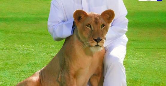 الخليج اليوم .. " لا حيوانات خطرة بعد اليوم".. البحرين تقر مشروع قانون يمنع حيازتها