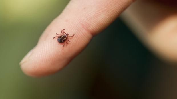 فيروس فتاك يصل بريطانيا يسبب التهاب الدماغ.. أعراضه وكيفية الوقاية