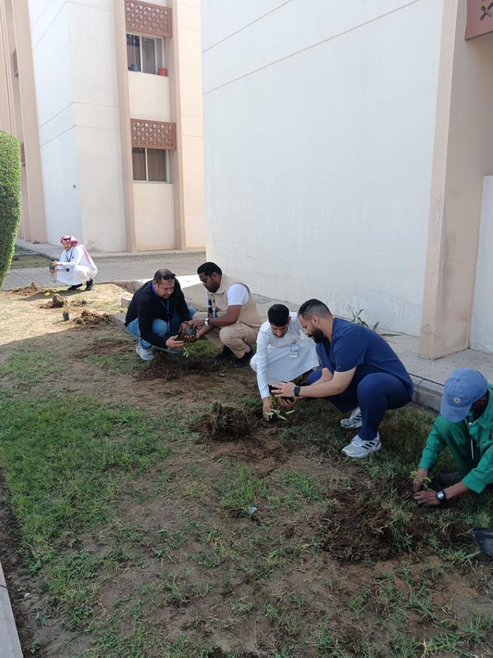 “مكة الخضراء”.. مبادرة لتشجير مدينة الملك عبدالله الطبية