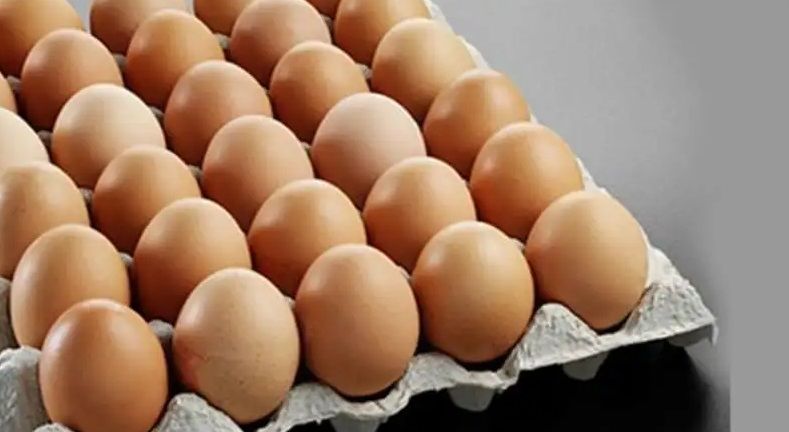 الامارات | تركيا تساعد أميركا لحل "أزمة البيض"