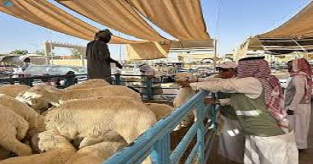 السعودية | “البيئة” تكثف الرقابة على المسالخ وأسواق النفع العام في طريف