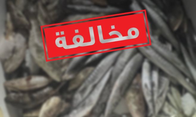 الامارات | "بيئة _ أبوظبي" تُحرر مخالفة لقارب صيد ترفيهي تجاوز حد الصيد اليومي المسموح به