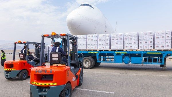 بتوجيهات حاكم الفجيرة.. «حمد الإنسانية» و«خيرية الفجيرة» تقدمان 257 طناً من المساعدات لدعم غزة