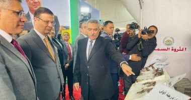 طرح الأسماك بتخفيضات 30٪؜ وكيلو البلطي بـ60 جنيهًا بنادى الزراعيين بالدقى