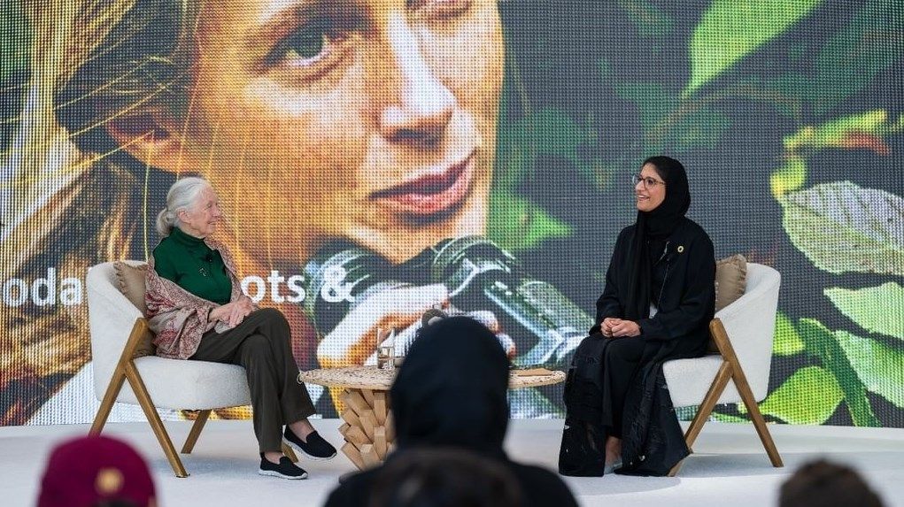 الإمارات تعزز استدامة التنوع البيولوجي بمبادرات رائدة في تربية النحل والتعليم البيئي