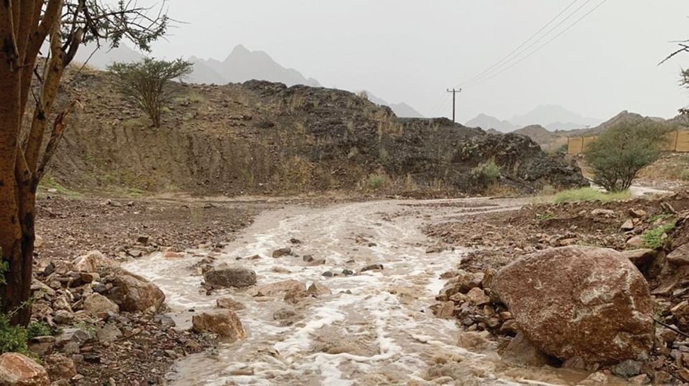 الامارات | موسم الشتاء في الإمارات موروث تاريخي متجدد