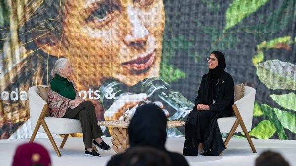 الإمارات تعزز استدامة التنوع البيولوجي بمبادرات رائدة في تربية النحل والتعليم البيئي