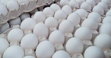 سعر بيض المائدة بمعرض أهلًا رمضان بمركز البحوث الزراعية بالدقى .. التفاصيل