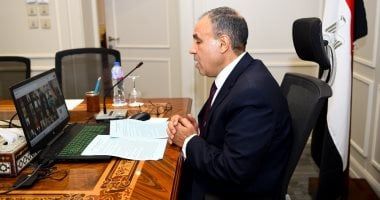 وزير الخارجية يشارك في اللقاء الافتراضى مع الجالية المصرية في فرنسا