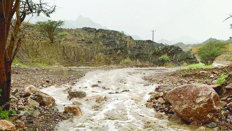 الامارات | الشتاء في الإمارات.. موسم حافل بالموروث والأمثال