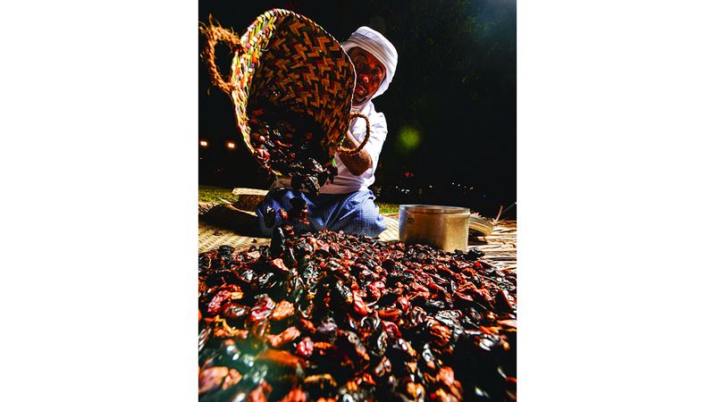 الامارات | التمر.. خير البلاد وطعام أهلها