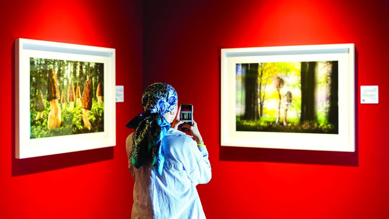 الامارات | «إكسبوجر 2025»: الصورة رسالة إنسانية قبل أن تكون فناً