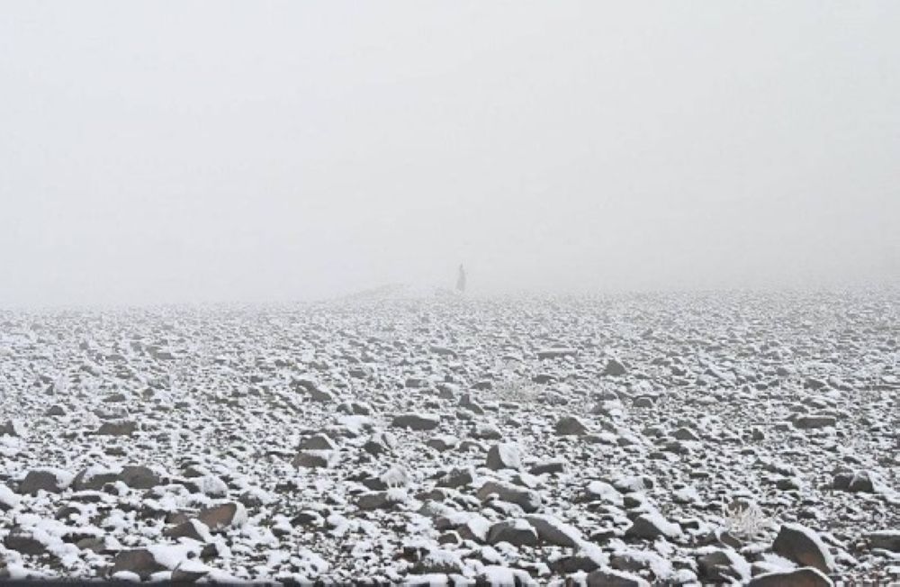 3 تحت الصفر.. موجة باردة على أجزاء من 3 مناطق حتى 8 صباحًا