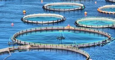 المركزى لبحوث الثروة السمكية ينظم ورشة عمل حول ‫استخدامات الطاقة المتجددة