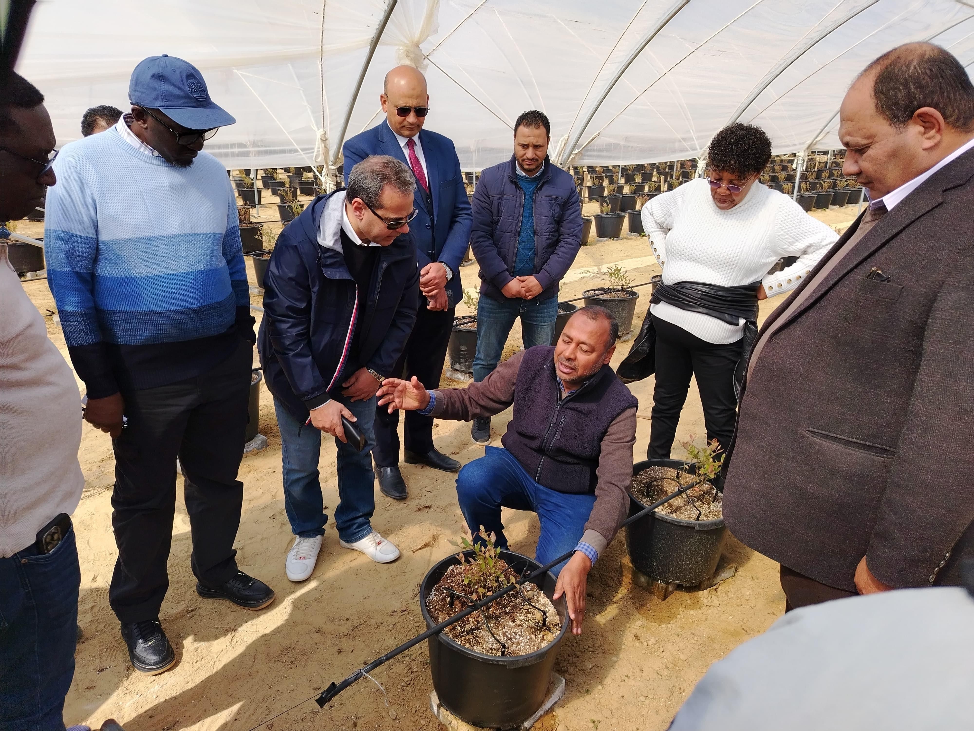 وزيرا الثروة الحيوانية والرى فى زامبيا يتفقدان مزرعة تصدير الحاصلات البستانية بالنوبارية