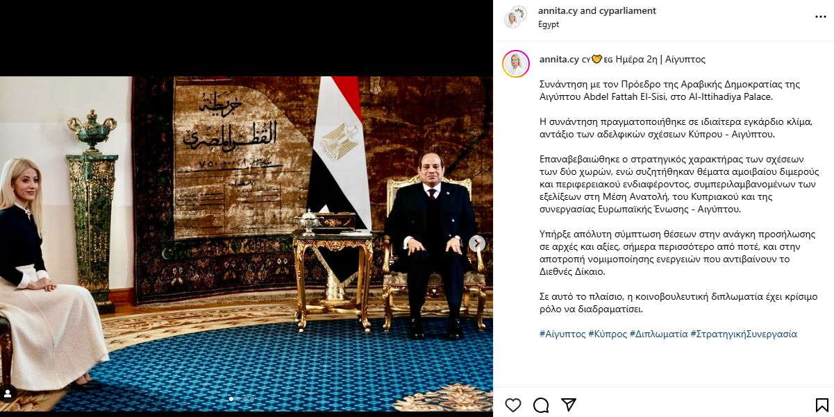 رئيسة البرلمان القبرصى: لقائي مع الرئيس السيسى جرى فى مناخ ودى