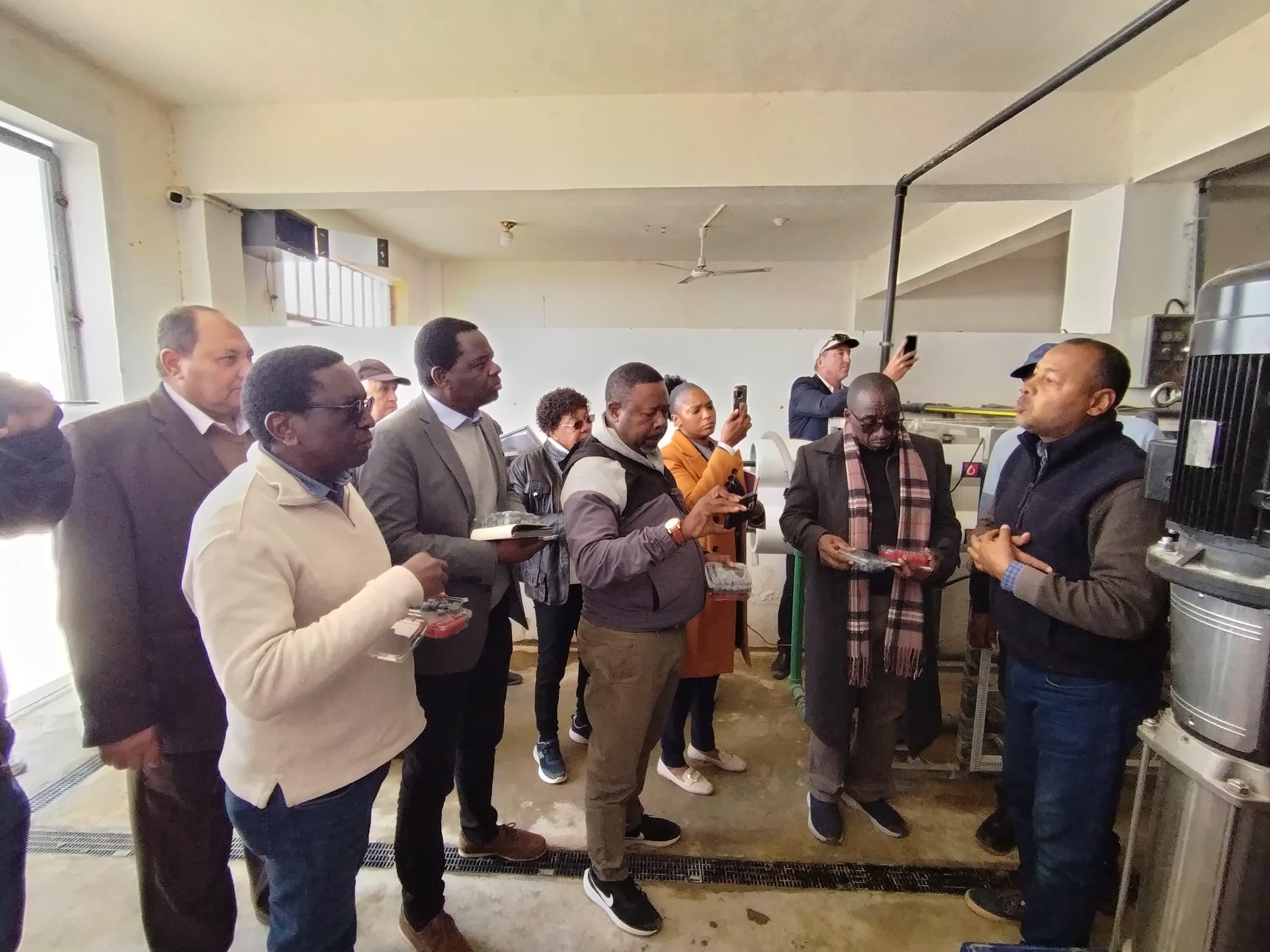 وزيرا الثروة الحيوانية والرى فى زامبيا يتفقدان مزرعة تصدير الحاصلات البستانية بالنوبارية