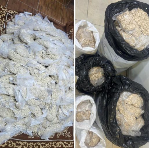 مكافحة المخدرات الأردنية: ضبط أكثر من مليون حبة مخدرة بالتعاون مع مصر