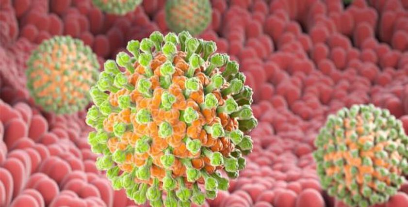 طرق الوقاية من فيروس كورونا الجديد HKU5 بعد انتشاره في الصين.. الخفافيش السبب