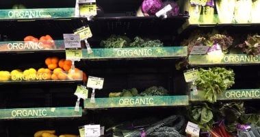 تكنولوجيا: تدمير الموارد المناخية.. دعوى قضائية ضد إدارة ترامب لحجب المعلومات البيئية