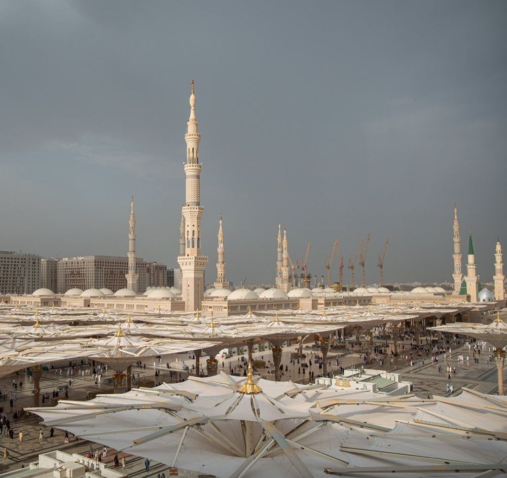 "الحج والعمرة".. خدمة جديدة تتيح زيارة الروضة الشريفة كل 20 دقيقة