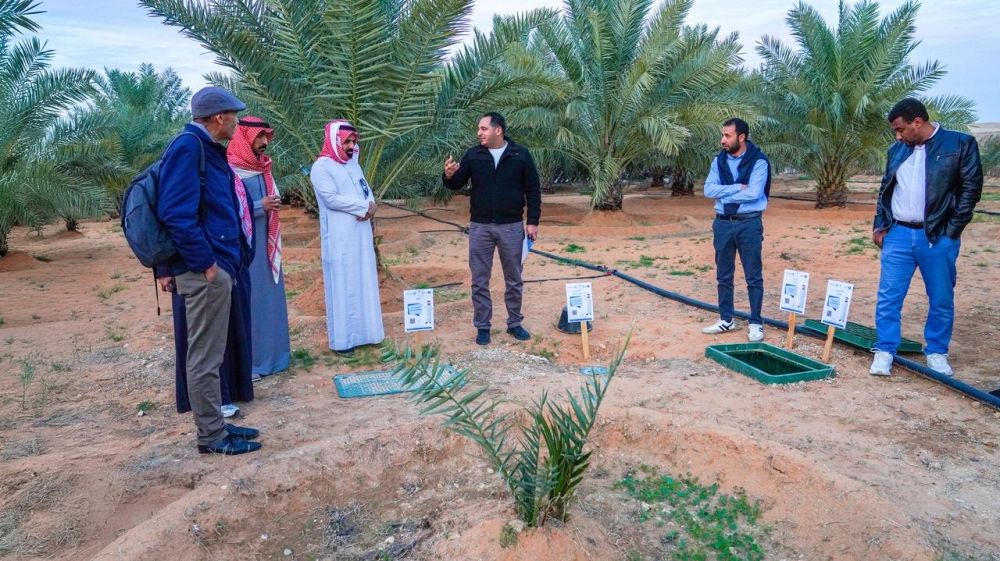 3 حقول إرشادية بالقصيم لتعزيز إنتاجية النخيل بتقنيات الري الذكي