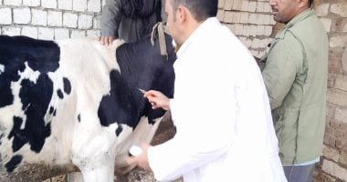 بحوث الصحراء يطلق قافلة بيطرية لتحسين صحة الثروة الحيوانية بمدينة الطور